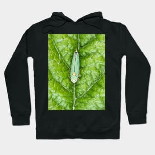 Blue-green sharpshooter Hoodie